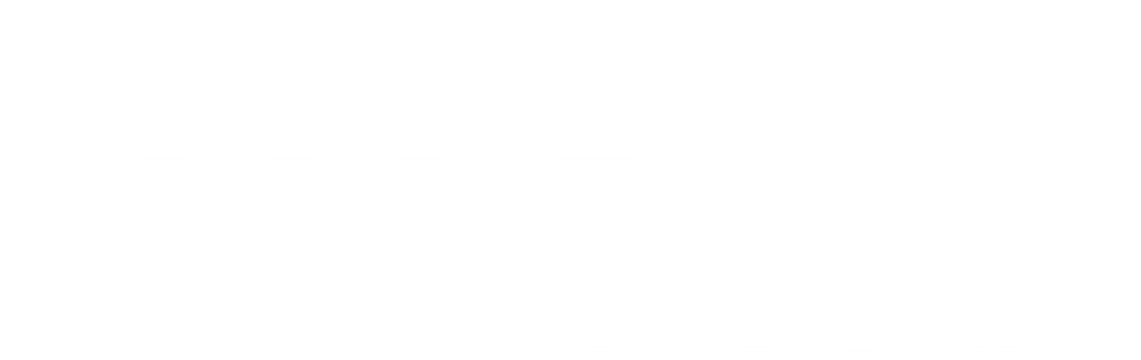 PitLaneLabs